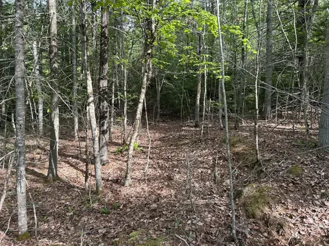 M5L16 Clark Road Prospect ME 04981