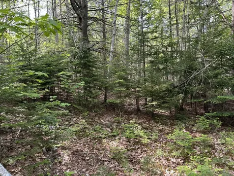 M5L16 Clark Road Prospect ME 04981