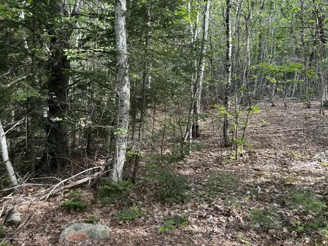 M5L16 Clark Road Prospect ME 04981