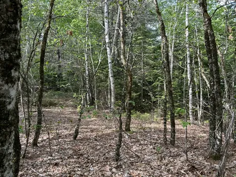 M5L16 Clark Road Prospect ME 04981