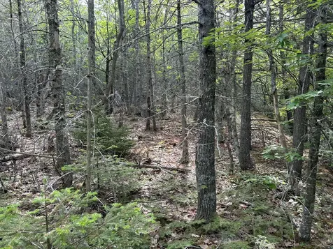 M5L16 Clark Road Prospect ME 04981