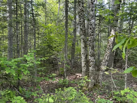 M5L16 Clark Road Prospect ME 04981