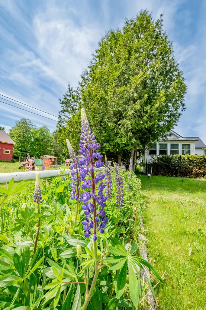 118 Summer Street Dover-foxcroft ME 04426