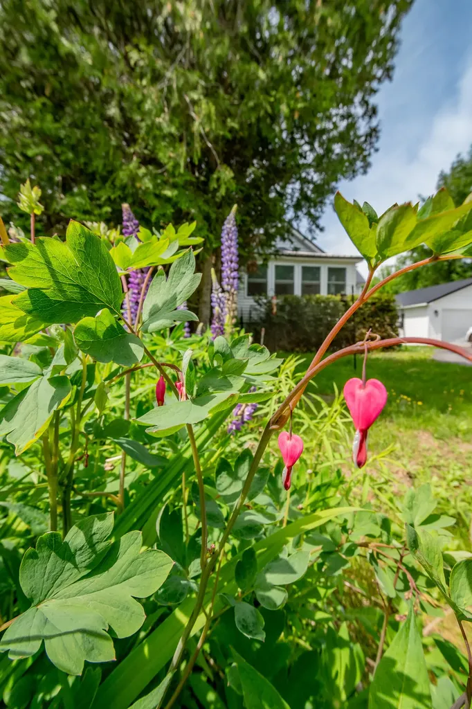 118 Summer Street Dover-foxcroft ME 04426
