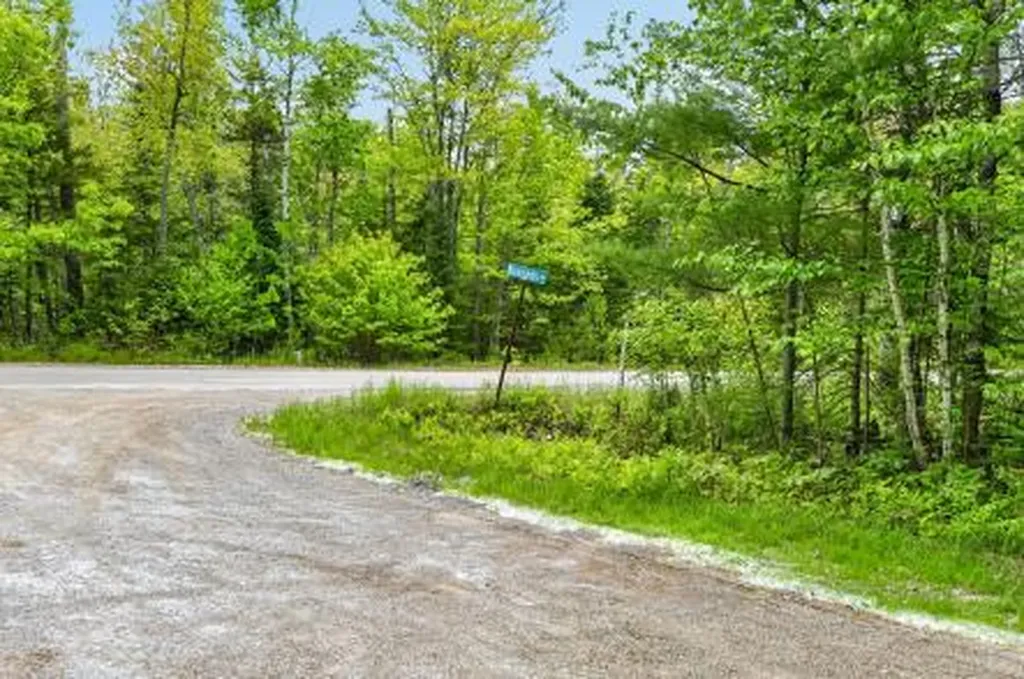 Lot# Bucksmills Road Bucksport ME 04416