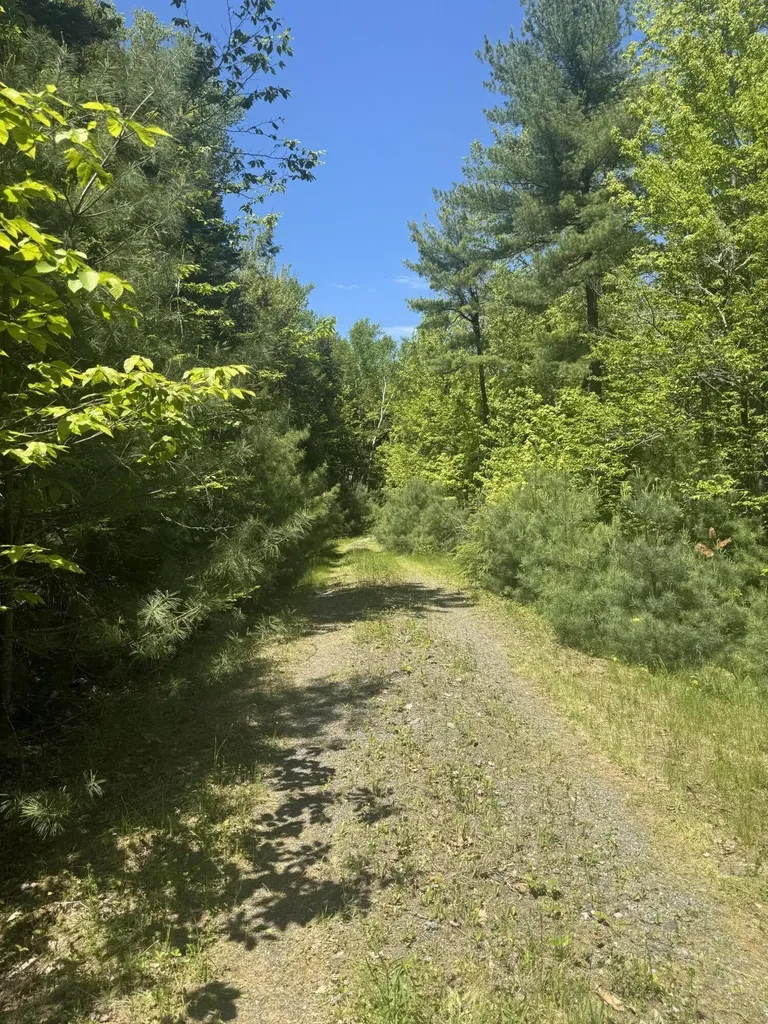 Lot# Bucksmills Road Bucksport ME 04416