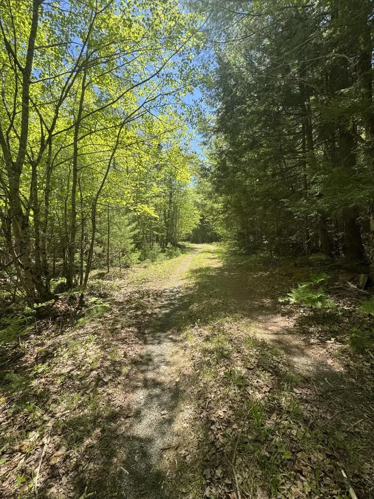Lot# Bucksmills Road Bucksport ME 04416
