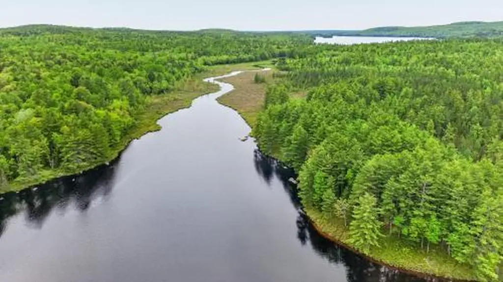 Lot# Bucksmills Road Bucksport ME 04416