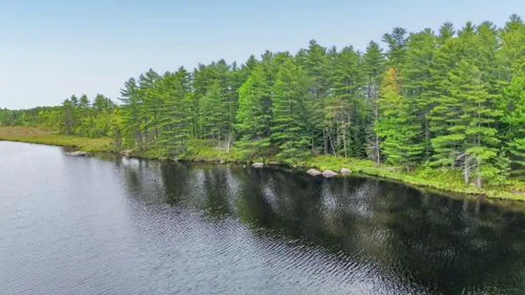 Lot# Bucksmills Road Bucksport ME 04416