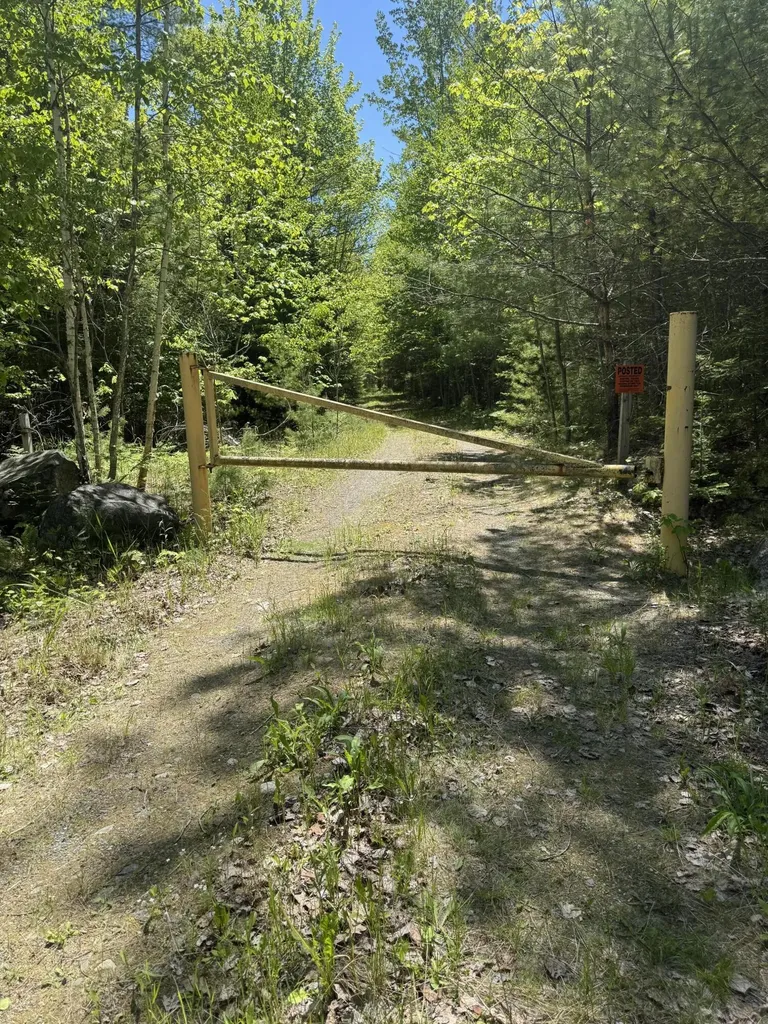 Lot# Bucksmills Road Bucksport ME 04416