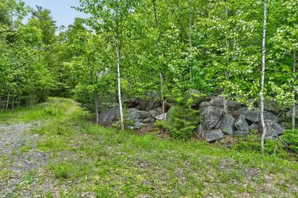 Lot# Bucksmills Road Bucksport ME 04416