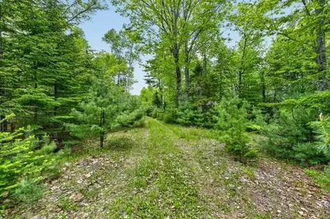 Lot# Bucksmills Road Bucksport ME 04416