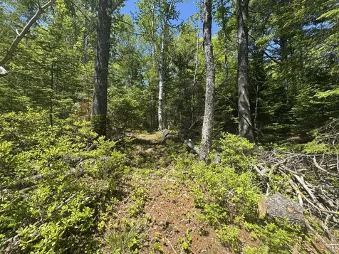 Lot# Bucksmills Road Bucksport ME 04416