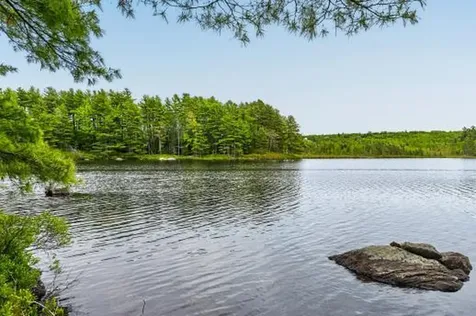 Lot# Bucksmills Road Bucksport ME 04416