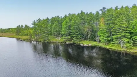 Lot# Bucksmills Road Bucksport ME 04416