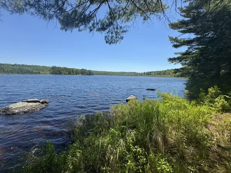 Lot# Bucksmills Road Bucksport ME 04416