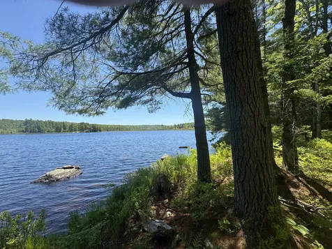 Lot# Bucksmills Road Bucksport ME 04416