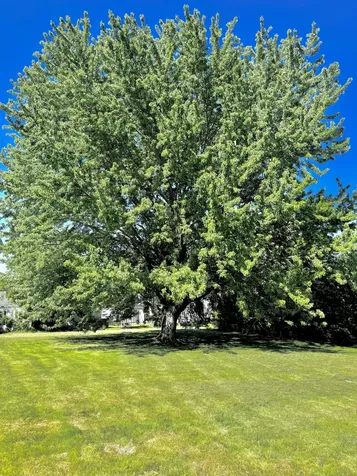 49 Cool Street Waterville ME 04901
