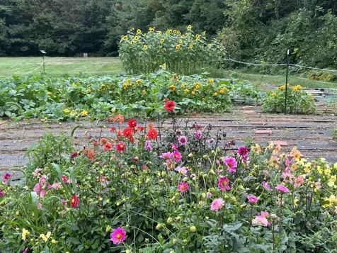 150 Kennebunk Road Alfred ME 04002