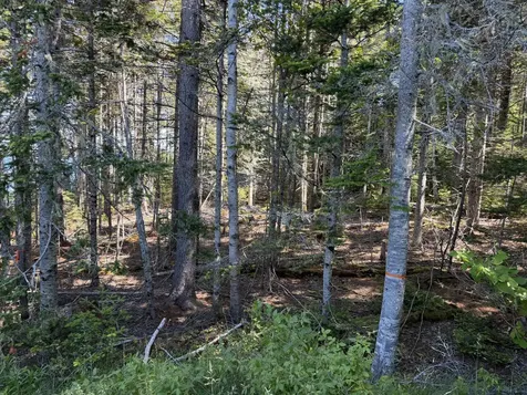 56 Kingsley Farm Road Gouldsboro ME 04607