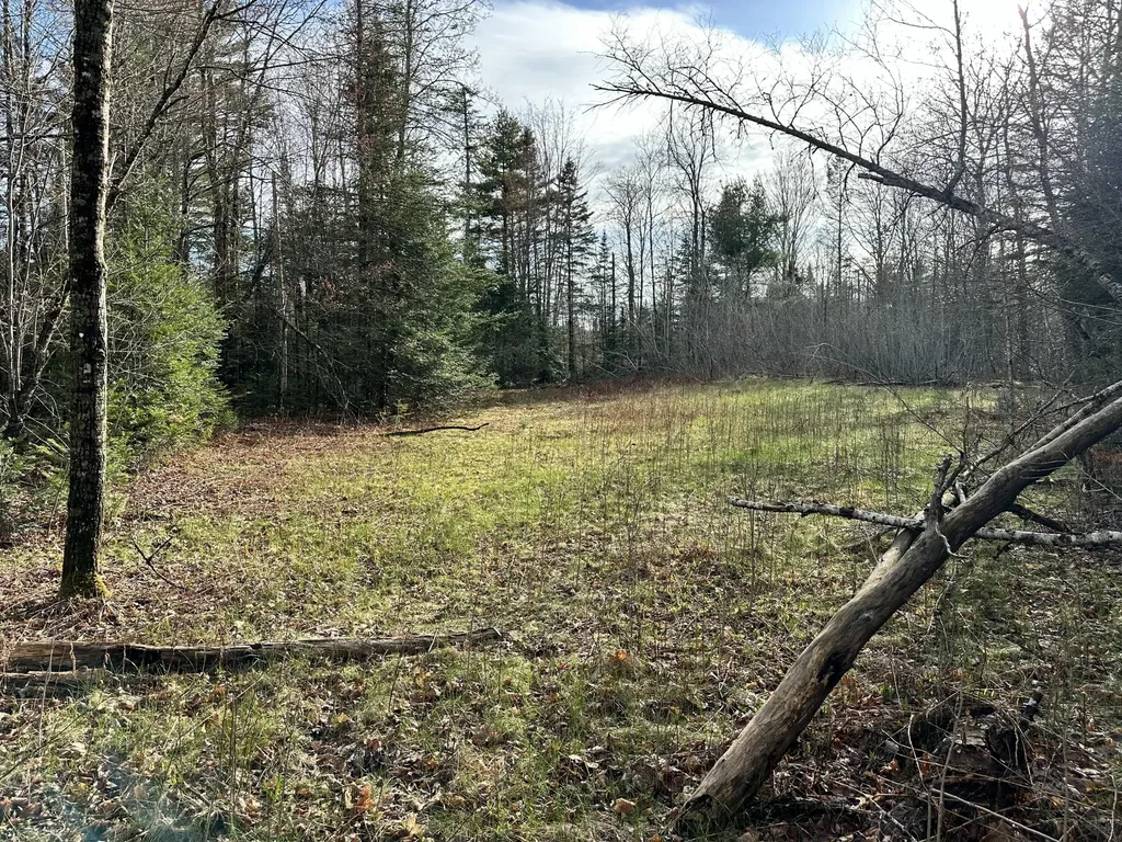 Map 8 Lot 12 Crane Bridge Road Monroe ME 04951