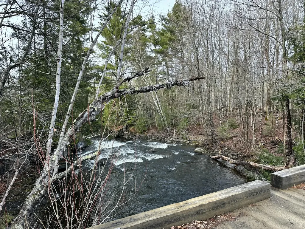 Map 8 Lot 12 Crane Bridge Road Monroe ME 04951