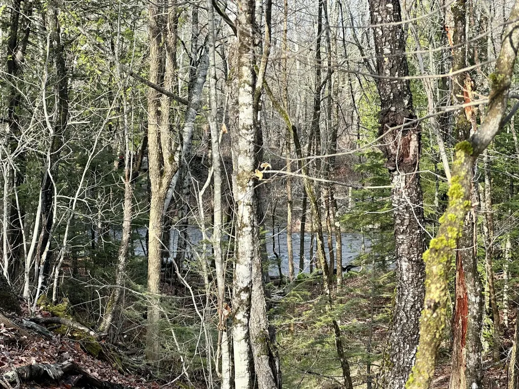 Map 8 Lot 12 Crane Bridge Road Monroe ME 04951
