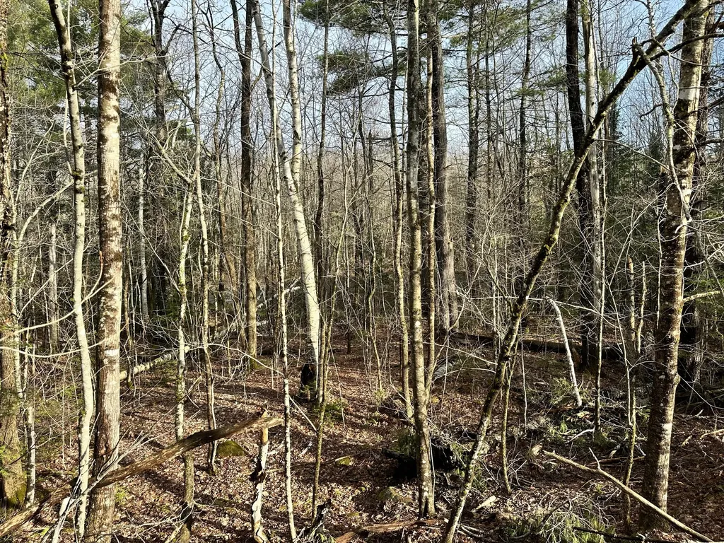 Map 8 Lot 12 Crane Bridge Road Monroe ME 04951