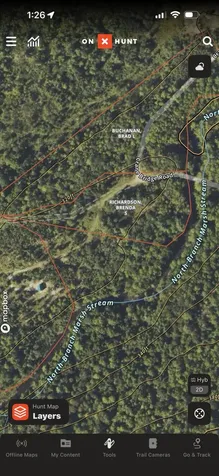 Map 8 Lot 12 Crane Bridge Road Monroe ME 04951