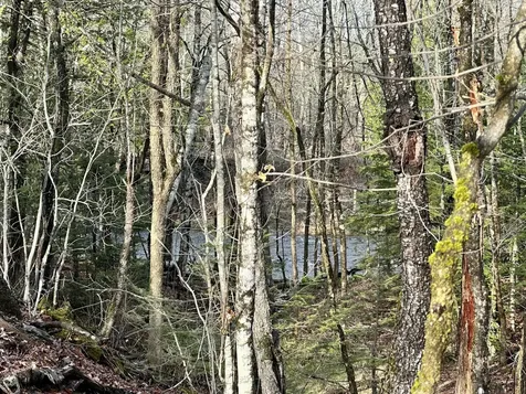 Map 8 Lot 12 Crane Bridge Road Monroe ME 04951