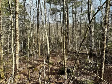 Map 8 Lot 12 Crane Bridge Road Monroe ME 04951