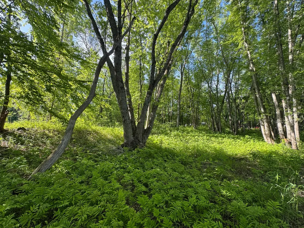 Tbd Mohawk Road Lincoln ME 04457