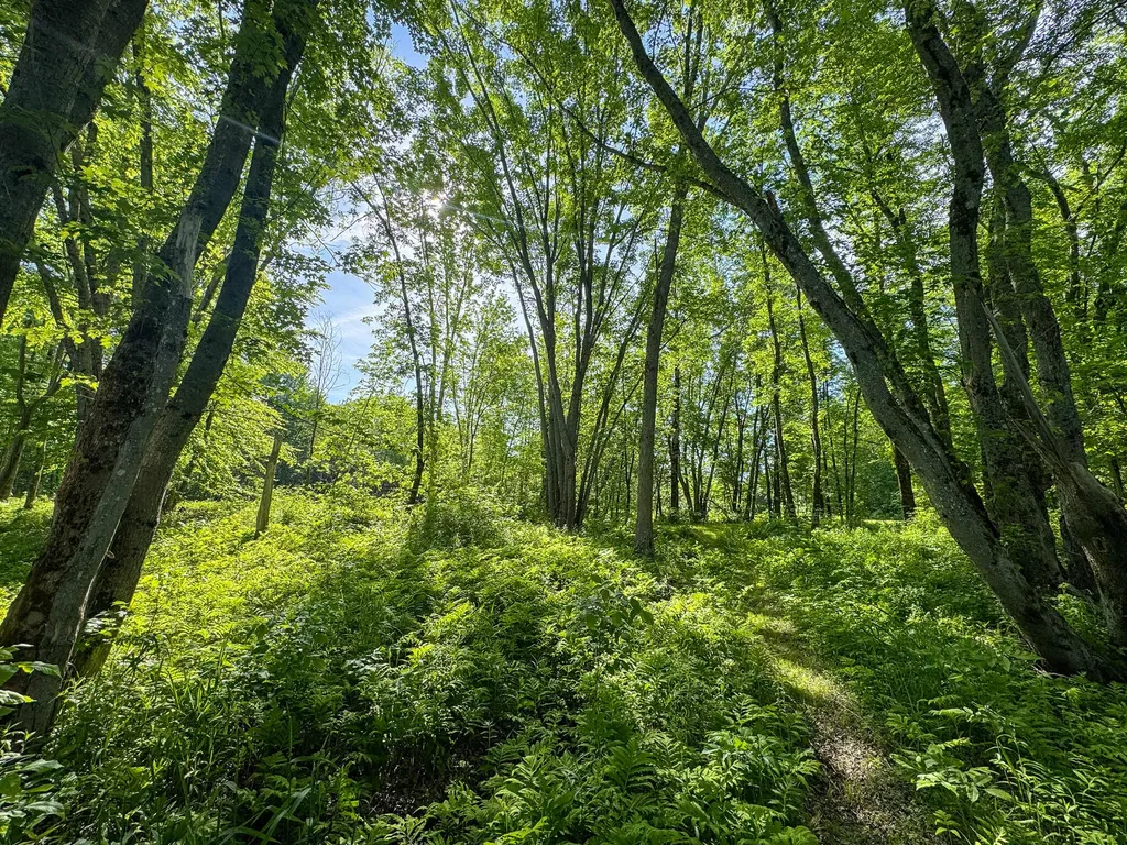 Tbd Mohawk Road Lincoln ME 04457