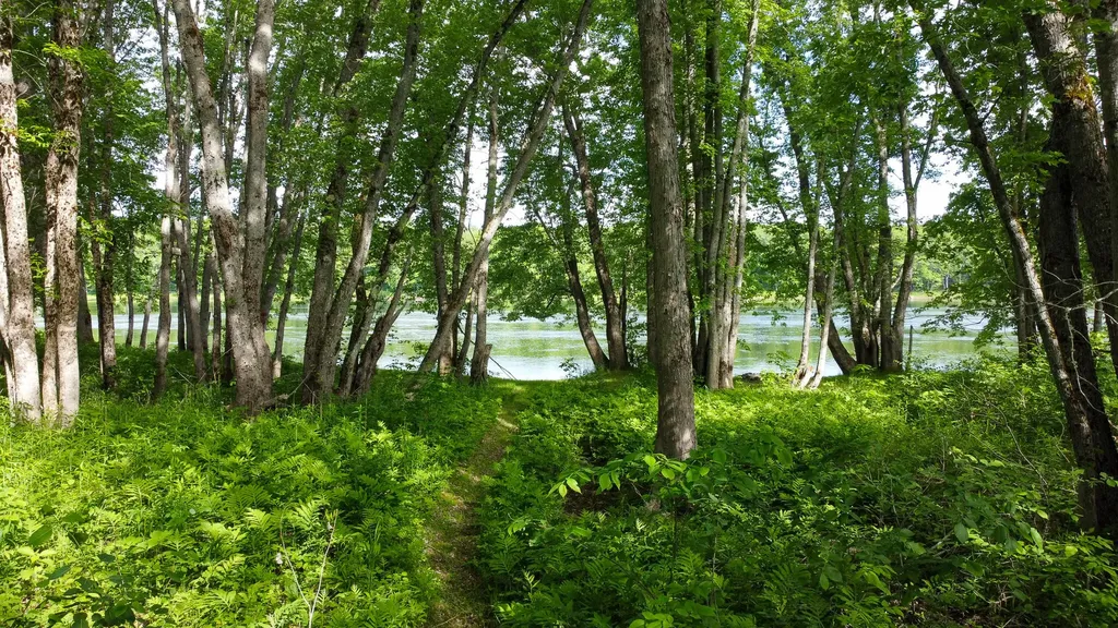 Tbd Mohawk Road Lincoln ME 04457