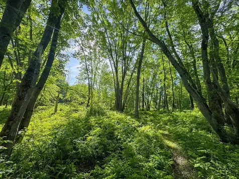 Tbd Mohawk Road Lincoln ME 04457
