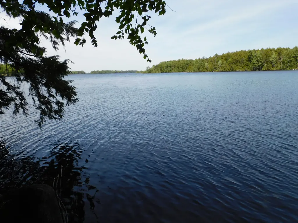 Lot 2 Big Lake Shores Road Greenlaw Chopping Twp ME 04668