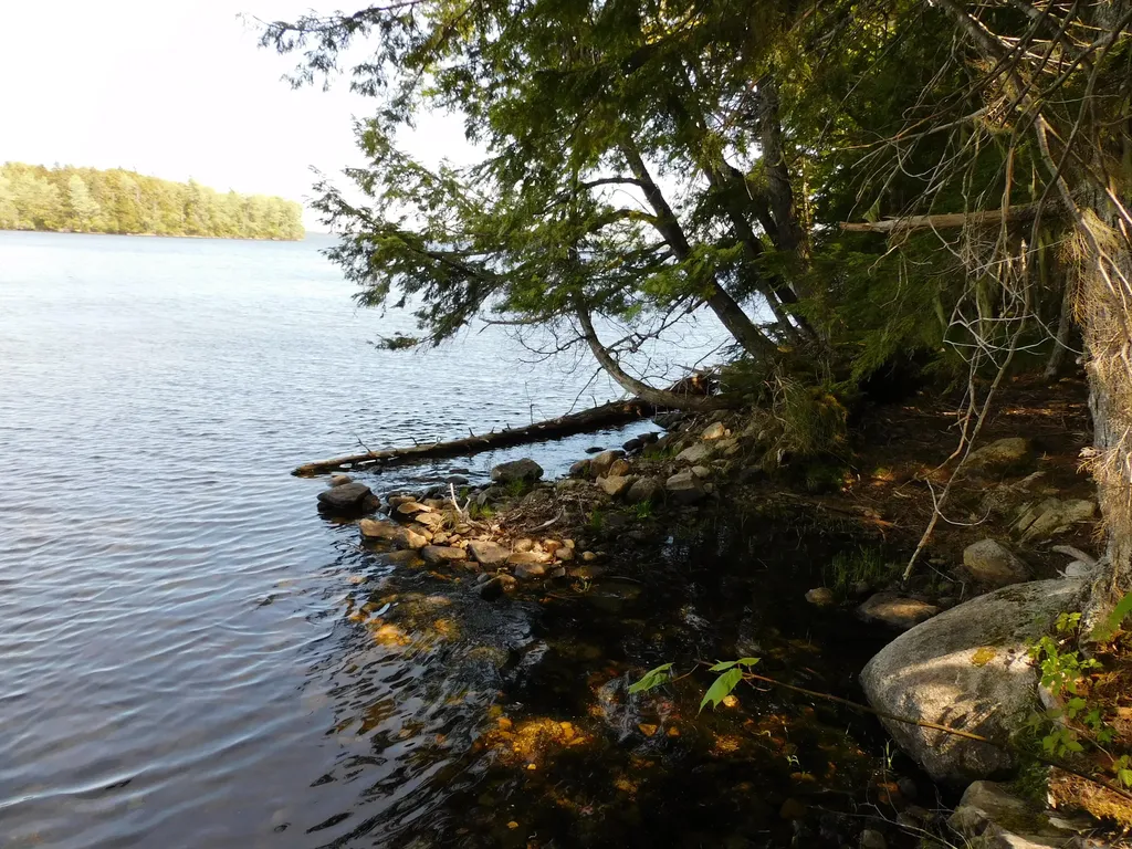 Lot 2 Big Lake Shores Road Greenlaw Chopping Twp ME 04668