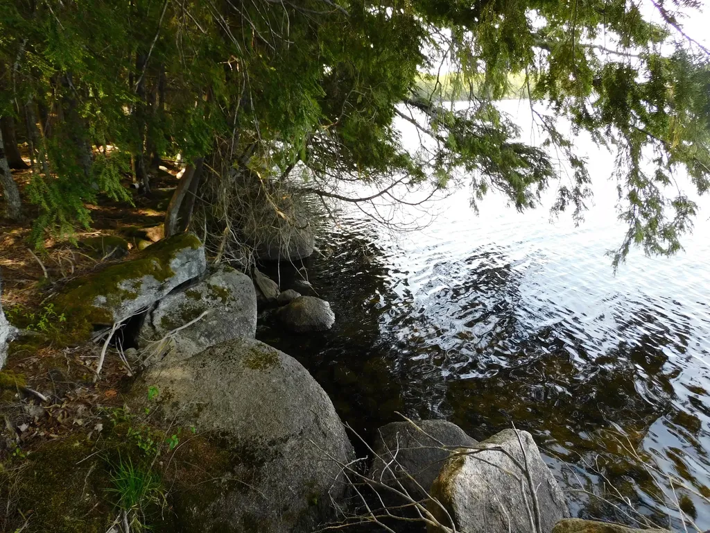 Lot 2 Big Lake Shores Road Greenlaw Chopping Twp ME 04668