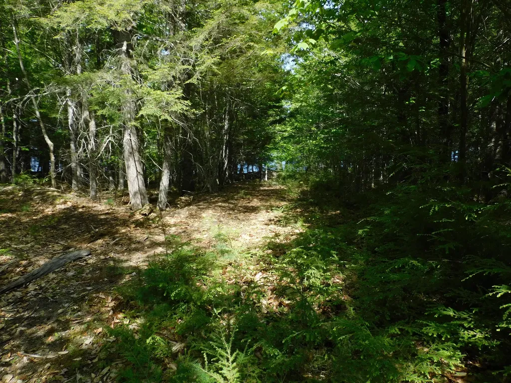 Lot 2 Big Lake Shores Road Greenlaw Chopping Twp ME 04668