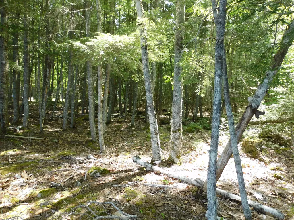 Lot 2 Big Lake Shores Road Greenlaw Chopping Twp ME 04668