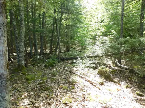 Lot 2 Big Lake Shores Road Greenlaw Chopping Twp ME 04668