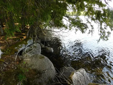 Lot 2 Big Lake Shores Road Greenlaw Chopping Twp ME 04668