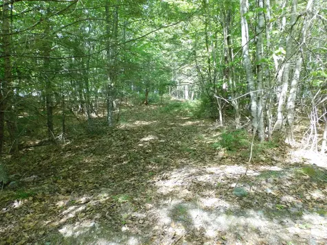 Lot 2 Big Lake Shores Road Greenlaw Chopping Twp ME 04668