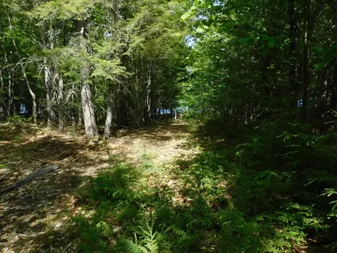 Lot 2 Big Lake Shores Road Greenlaw Chopping Twp ME 04668