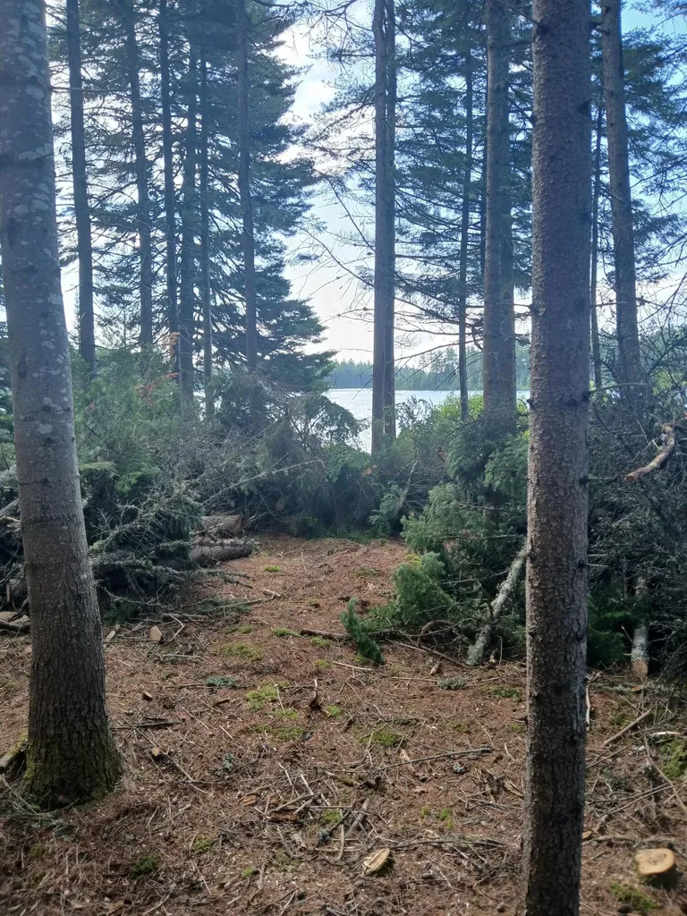 Lot # 16.1 Middle Road Carrying Place Town Twp ME 04961