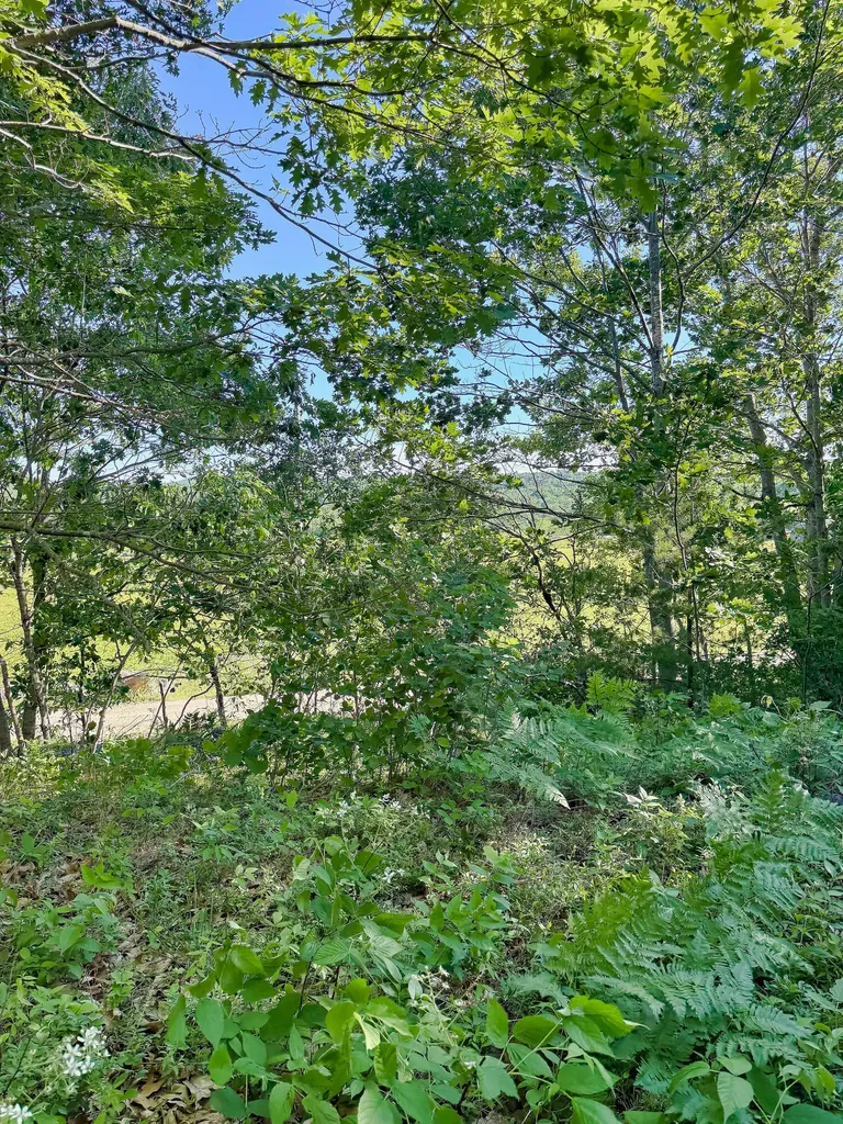 519 Snow's Cove Road Sedgwick ME 04676