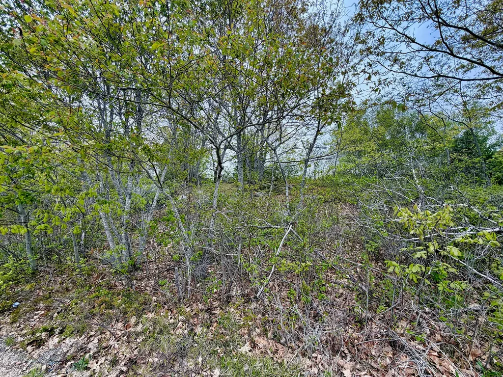519 Snow's Cove Road Sedgwick ME 04676
