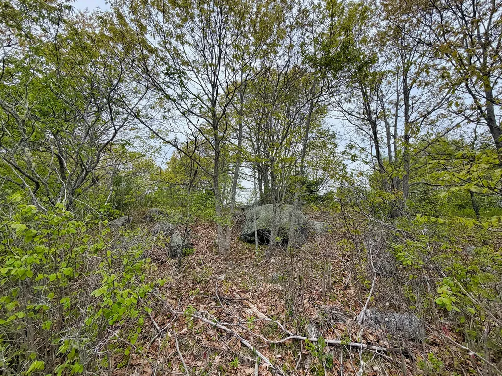519 Snow's Cove Road Sedgwick ME 04676