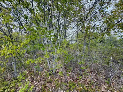 519 Snow's Cove Road Sedgwick ME 04676