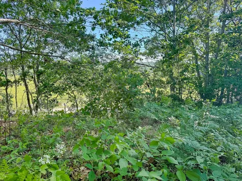 519 Snow's Cove Road Sedgwick ME 04676